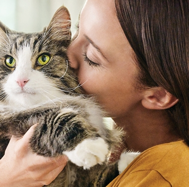 Endlich unbeschwert mit der Katze  spielen – ein neues Futter macht  das auch für Allergiker möglich.