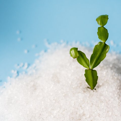 Grüne Hochleistungsmaterialien mit Corvay Bioproducts Technologie, Foto: Shutterstock